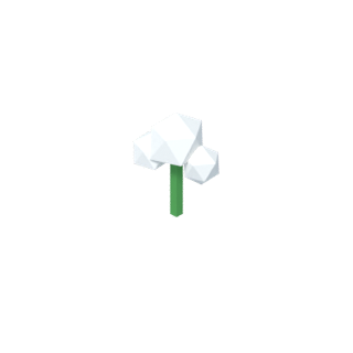 목화