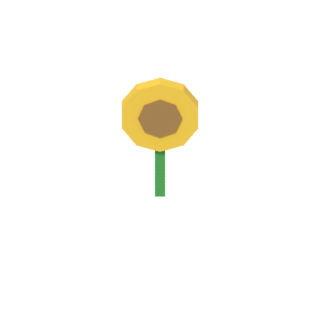 기름 작물